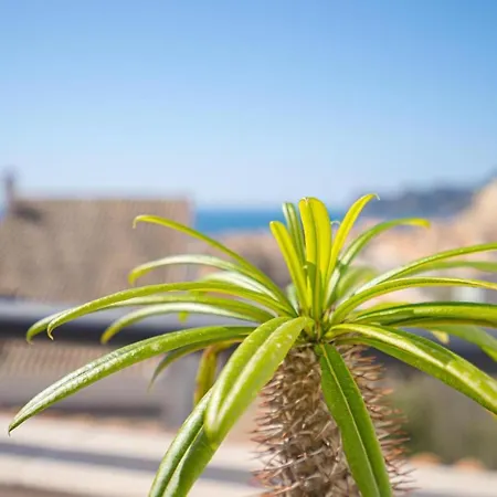 Spaniahome Apartamento