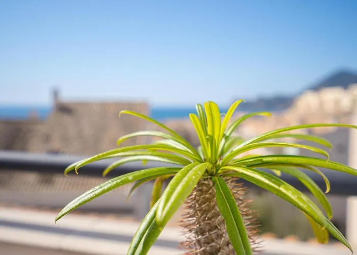 Spaniahome Apartamento